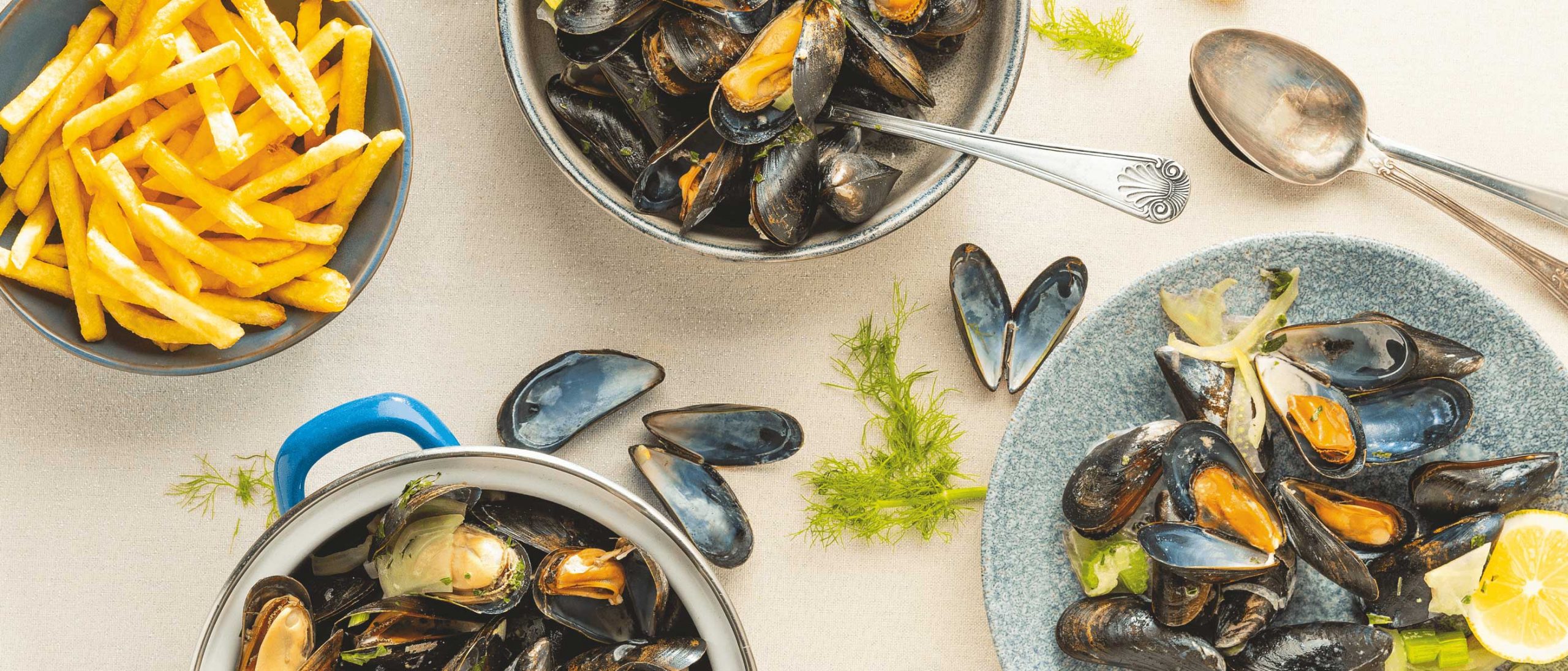 Moules au fenouil et au pastis